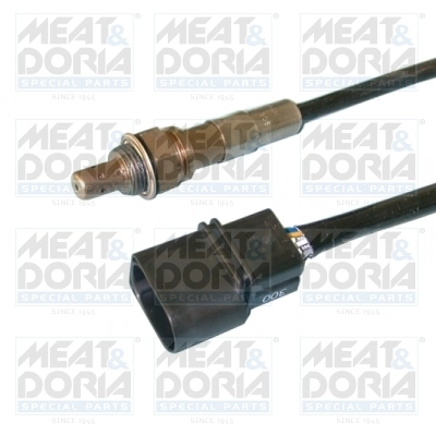 Oxygen Sensor